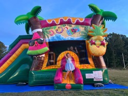 530817204 122104065782967088 5631547792331277707 n 1754944934 30' Tropical Fruit Splash Wet or Dry Water Slide Combo