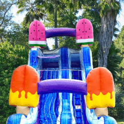 JC WS19SI WEB5 1754507698 ICE POPS 19 FT SLIDE