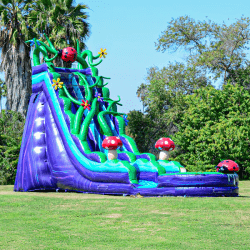 19' Enchanted Forest Slide