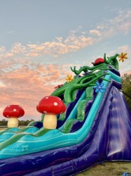 19' Enchanted Forest Slide